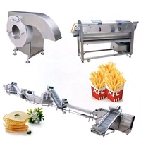 Kleine schaal 100kg/uur productielijn voor frites Automatische productielijn voor frites Machine voor de verwerking van diepvriesfrites