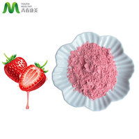 Poudre d'extrait de fruit de fraise biologique soluble, qualité alimentaire, 80 mesh, emballage en fût