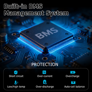 Batería de Almacenamiento de Energía LifeP04 12.8V 100Ah 4000 Ciclos para Barcos y Aspiradoras Robóticas - Product Image 5