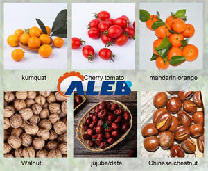 Machine de triage des fruits et légumes à faible consommation d'énergie, en acier inoxydable, pour une utilisation industrielle et agricole à long terme - Product Image 6