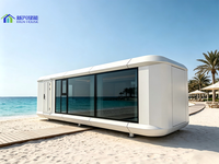 Maison Capsule Spatiale de 40 pieds à Finition Bois, Aménagement Tatami, Intérieur Chaleureux pour Chambre d'Hôtes en Campagne Japonaise
