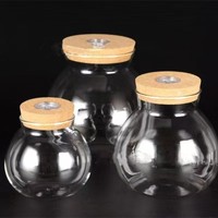 Vente en gros de vase en verre belle Aquascape effet d'éclairage télécommande lumière réglable bel ornement décorations d'intérieur