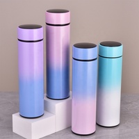 Termo de Acero Inoxidable Color Mate con Filtro para Té, Botella de Agua Aislada de 500 ml para Uso Diario