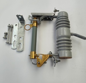 Interrupteur d'isolement à 2 pôles 50 Hz avec fusible intégré - Product Image 2