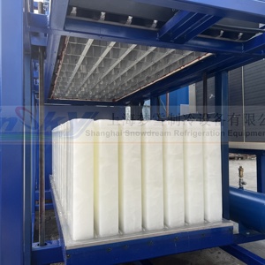 เครื่องทำน้ำแข็งบล็อก3โทนเครื่องทำน้ำแข็งสำหรับขายในแอฟริกา - Product Image 4