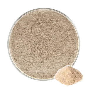 Extracto de cáscara de semilla de psyllium orgánico de fábrica Hongda 95% 99% polvo de cáscara de psyllium a granel - Product Image 1