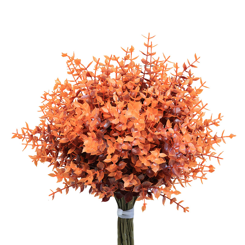 Série Automne Eucalyptus Rouge Automne Profond