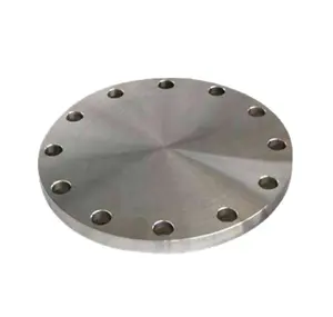 2 inch 3 inch PN16 Welded Casting & Forged Flange Stainless Steel
