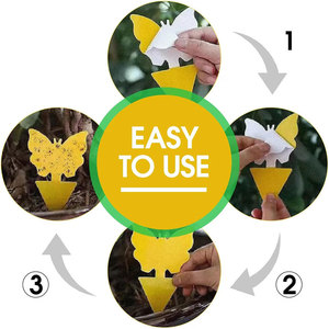 Piège collant mouche des fruits champignon moucheron piège tueur colle trappeurs protéger la plante non toxique et inodore jetable intérieur extérieur - Product Image 5