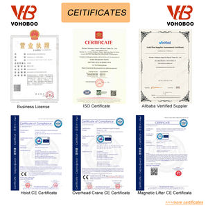 <span class=keywords><strong>Hoist</strong></span> Rantai Manual Elektrik Berkualitas OEM 1-20t 5 Ton <span class=keywords><strong>20</strong></span> Ton n Pa200 Tecle De Cadena - Product Image 5