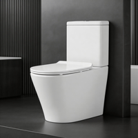 WC deux pièces fiable et très vendu, design ergonomique et convivial pour la rénovation de salle de bain