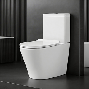 Inodoro de Dos Piezas Confiable y Más Vendido, Diseño Ergonómico y Fácil de Usar para la Renovación del Baño - Product Image 1