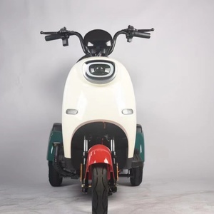 Tricycle électrique pour personnes âgées 600W, tricycle familial électrique à vendre avec batterie au plomb-acide - Product Image 5