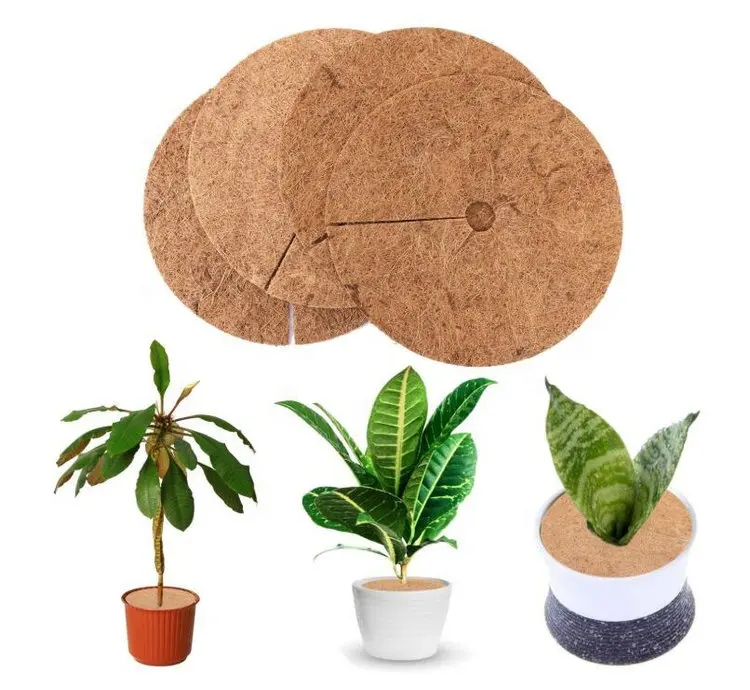 Coco coir protetor de anel de árvore, tapete de proteção para erva daninha em fibra de coir natural (36cm/14 polegadas)-pk de 10