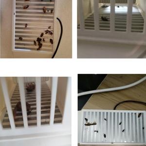 Piège à cafards électronique non toxique, directement de l'usine, pour la lutte antiparasitaire intérieure dans les cuisines, restaurants et hôtels - Product Image 4