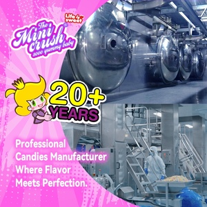 Bán buôn trái cây có hương vị đóng băng khô Kem căng phồng kẹo freezy khô sô cô la - Product Image 4