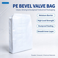 Sacs à valve inclinés en PE durables, taille personnalisée, résistants aux déchirures, sacs à valve d'angle haute intensité pour l'emballage de poudres alimentaires