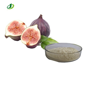 Extracto de Fruta de Higo Natural en Polvo, Polvo de <span class=keywords><strong>Opuntia</strong></span> <span class=keywords><strong>Ficus</strong></span> <span class=keywords><strong>Indica</strong></span> - Product Image 1