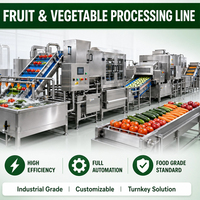 Ligne de production de purée de tomates Yoursjoys pour fruits et légumes, usine alimentaire entièrement automatique