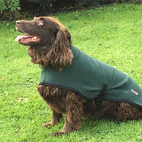 Ventes en gros, usine personnalisée, manteaux pour chiens en polaire de luxe, ajustables, grands, chauds, légers, vêtements de créateur, machine, moderne, classique