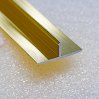 Tira decorativa de aluminio en forma de T para suelo, producto en oferta de fábrica