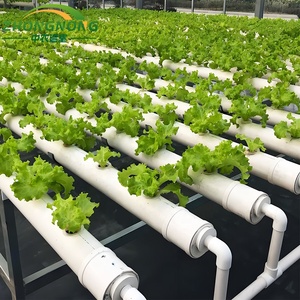 Grandes serres agricoles automatisées <span class=keywords><strong>en</strong></span> <span class=keywords><strong>verre</strong></span>, peu encombrantes, avec système de jardinage aéroponique rotatif <span class=keywords><strong>en</strong></span> tour et système hydroponique pour feuilles - Product Image 2