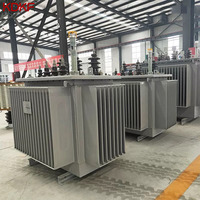 Transformateur de distribution immergé dans l'huile à enroulement en cuivre S13-M, 11 kV à 415 V, 50 Hz, triphasé, certifié IEC, fabricant