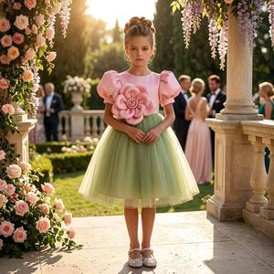Robe <span class=keywords><strong>de</strong></span> princesse d'été pour filles avec manches bouffantes florales 3D, tenue <span class=keywords><strong>de</strong></span> fête d'anniversaire, robe <span class=keywords><strong>de</strong></span> cérémonie pour enfants - Product Image 1