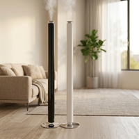 Diffuseur de parfum commercial pour hôtel, en alliage d'aluminium, grande capacité 100 ml, double compartiment liquide, contrôle par application, rechargeable par USB-C