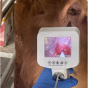 nouvel équipement de moniteur <span class=keywords><strong>d</strong></span>'instrument vétérinaire EV-12H moniteur <span class=keywords><strong>d</strong></span>'hôpital pour animaux vétérinaires pour <span class=keywords><strong>chien</strong></span> de chat - Product Image 6