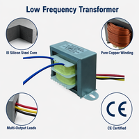 Transformador de Aislamiento, Transformador de Neón, 12V 24V 48V 110V 220V 5VA 10VA 50VA 100VA 200VA 300VA, Transformador Automático