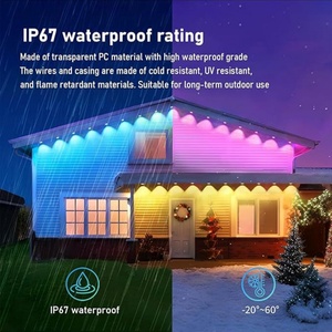 ไฟตกแต่งหลังคา LED RGBIC 60 เมตร DC12V/24V มาตรฐาน IP67 ควบคุมผ่าน Wi-Fi สำหรับใช้งานกลางแจ้งถาวร - Product Image 6