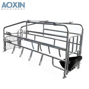 Box di Contenimento per Suini Zincato Rinforzato per Ispezione e Iniezione - Product Image 1