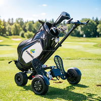Fabricant OEM de scooters de golf électriques, chariots de golf, buggies de golf, voitures de golf 1600W 48V, fournisseur en gros d'usine d'origine