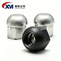 Écrou bombé en acier allié M20 HRB400 à haute résistance, personnalisable, directement de l'usine, adapté à la fixation d'ancrage de barres PT en construction