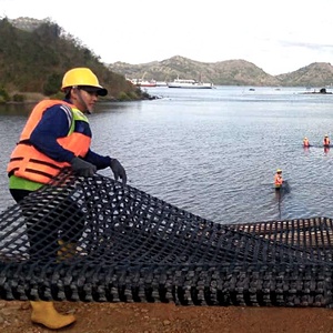 <span class=keywords><strong>Geogrids</strong></span> Trung Quốc Nhà Máy Giá <span class=keywords><strong>polyester</strong></span> sợi thủy tinh nhựa đường geogrid hai trục trục trục geogrid đường lái xe - Product Image 1