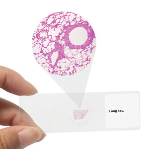 Sistem pernapasan geser trakea T.S. Paru Sec. Epiglottis Sagittal Sec. - Product Image 4