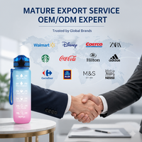 Bouteille d'eau en Tritan certifiée FDA LFGB sans BPA avec couvercle à ouverture rapide, infuseur à fruits amovible, personnalisation de la marque, sport