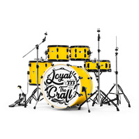 Professional 2025 Jazz Drum Set 5-Pc-Birch Wood Shells W/ Cowhide Heads for Studio & Live Touring