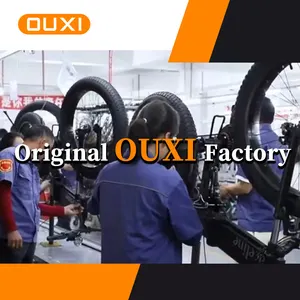 OUXI V8 Dual Battery Ready To Ship US EU Warehouse Double Battery E Bike With Rear Seat Fat Tire E Bike Fatbike 250w