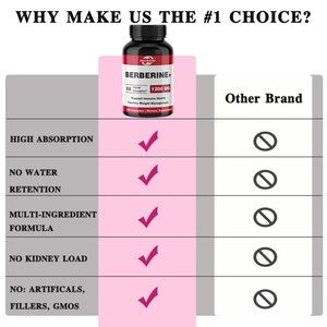 Suplemento de Berberina - Berberina HCL - Apoya el Peso Saludable y el Sistema Inmunológico - Venta al por Mayor - Personalizable - Product Image 4