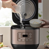 Cuisinière à riz multifonction électrique avec fonction de maintien au chaud, logo personnalisé