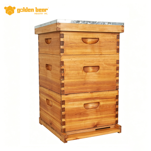 Ruche standard 10 cadres la plus vendue – Qualité garantie – Matériel d'apiculture - Product Image 2