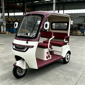 Triciclo Eléctrico Inteligente de Alta Calidad con Motor Trasero de 600W, 3 Velocidades, Largo Alcance, Cuadro de Acero, para Personas Mayores, para Desplazamientos Diarios - Product Image 2