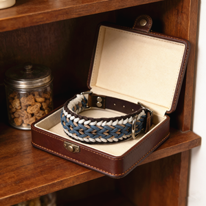 Collare per Cani Martingale Personalizzato di Lusso, Regolabile e Resistente, Ideale per Passeggiate e Jogging - Product Image 5