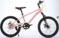 Vélo de montagne Offre Spéciale Chine vente en gros 16-24 pouces Support OEM vélo de montagne simple et vitesse à engrenages VTT vélo