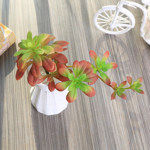 Plantes grimpantes artificielles en plastique <span class=keywords><strong>Lithops</strong></span>, succulentes écologiques, fournitures créatives DIY, accessoires muraux végétaux, fleurs - Product Image 6