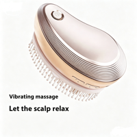 Peigne de massage électrique pour cuir chevelu en gros, 2 vitesses de vibration, atomiseur d'huiles essentielles, masseur avec deux têtes de peigne interchangeables
