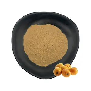 HIgh Quality Factory Supply Food Grade Loquat Fruit Concentrate Powder Loquat Powder Loquat Juice Powder For Beverages