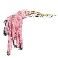Flores Secas de Amaranto Colgantes, Tallos de Mijo de Arroz Coloridos y Duraderos para Decoración de Bodas y Hogar